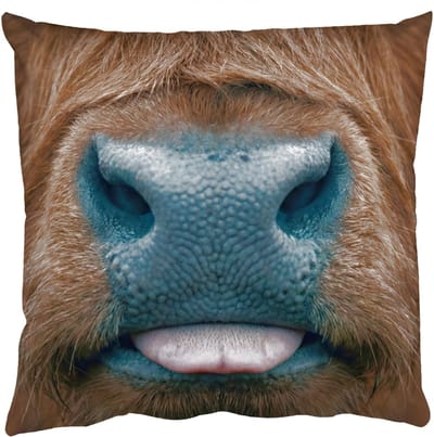 Sierkussens - Kussentjes Woonkamer - 50x50 cm - Schotse hooglander - Neus - Bruin