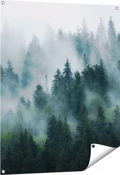 Gards Tuinposter Bos met Bomen in de Mist - 80x100 cm - Tuindoek - Tuindecoratie - Wanddecoratie buiten - Tuinschilderij