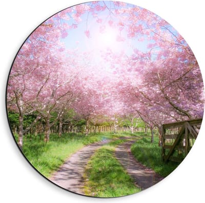 Dibond Wandcirkel - Zandpad tussen de Roze Bomen  - 40x40cm Foto op Aluminium Wandcirkel (met ophangsysteem)