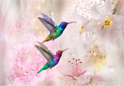 Fotobehangkoning - Behang - Vliesbehang - Fotobehang Kolibries bij de Roze Bloemen - Kleurrijke Kolibrie - Colourful Hummingbirds (Pink) - 200 x 140 cm