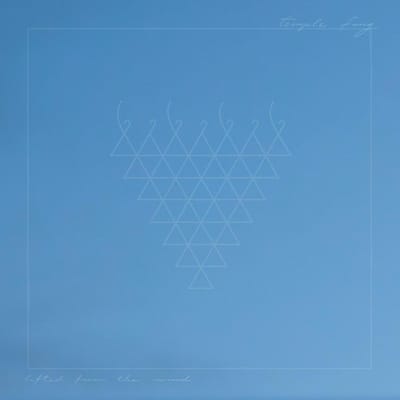 Temple Fang - Lifted From The Wind (2 LP)