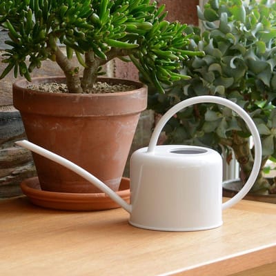 Dailygoods- Gieter 1,1 liter - Gieter voor binnen - Verzinkt staal - Lichtgewicht - Modern design - Antislip handgreep - Plantengieter