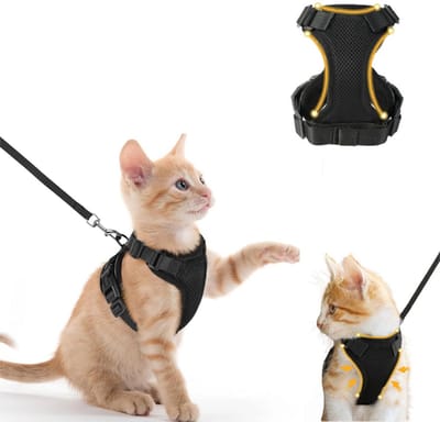 Set van 1 stuk - Borstband en riem voor katten - Wandelriem voor katten - Anti-ontsnappingsvest - Ademend mesh-materiaal - Voorzien van gespen en haken - Geschikt voor kleine tot middelgrote katten voor wandelingen buitenshuis - Maat XS - Zwart