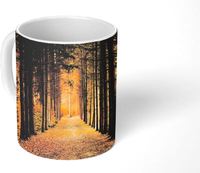 Mok - Koffiemok - Pad - Bomen - Bos - Mokken - 350 ML - Beker - Koffiemokken - Theemok