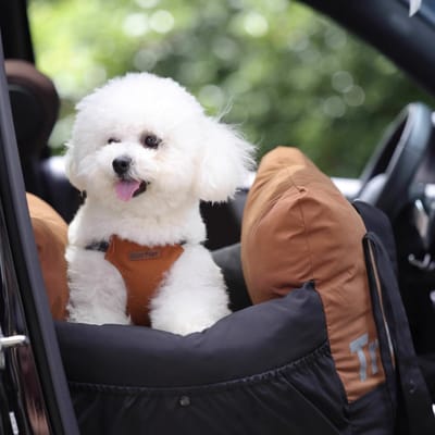 Trendy 3in1 Dog Travel Bed Car Seat Carry Bag (Orange) - Dog Car Seat with Waterproof Protection - Safe Dog Transport with Car Basket Backseat Frontseat - Portable Dog Bag - Dog Bed with Cushion