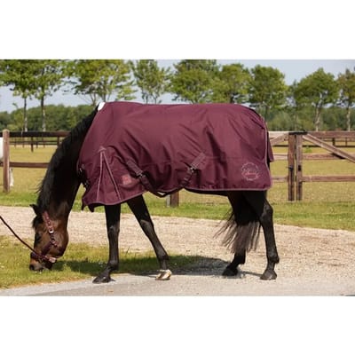 Dames wedstrijdpolo met lange mouwen Harry's Horse Calgary