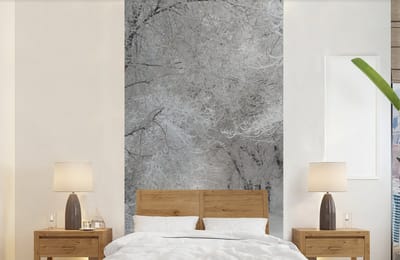 Behang - Fotobehang Bomen - Sneeuw - Winter - Breedte 120 cm x hoogte 240 cm