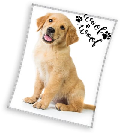 Animal Pictures Fleeceplaid Labrador - 150 x 200 cm - Coral Fleece
