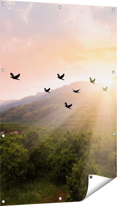 Gards Tuinposter Silhouet Zwerm Vogels bij Zonsondergang - 80x120 cm - Tuindoek - Tuindecoratie - Wanddecoratie buiten - Tuinschilderij