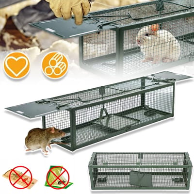 Diervriendelijke Metalen Knaagdierenval - 39 cm Vangkooi - Veilig En Niet-Giftig - Voor Muizen, Ratten En Eekhoorns - Groen