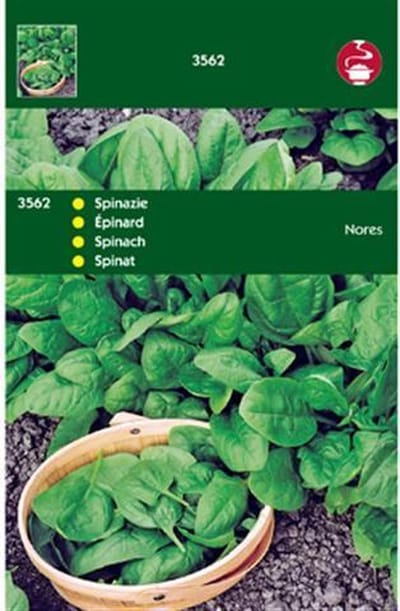 Hortitops Zaden - Spinazie Nores (Type Viking)