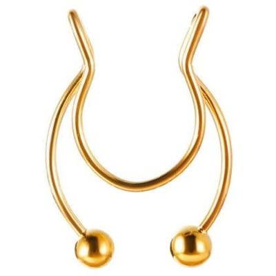 1 Stuk Neus Piercing Lichaam Sieraden Cz Neus Hoop Neusgat Neus Ring Tiny Bloem Helix Kraakbeen Tragus Ring