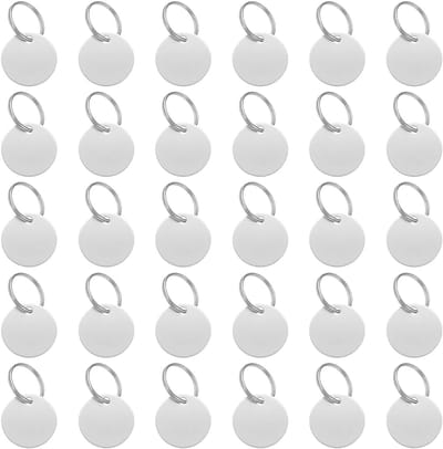 Blanco Labels - Lege Hondenpenningen - Sieraden Maken - Roestvrij Staal - 3 cm Diameter - Zilver