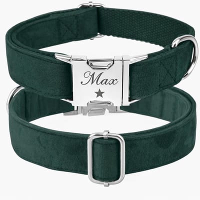 Honden Halsband Fluweel | Fluwelen Hondenhalsband | Velvet Elite Halsband | Halsband metalen sluiting graveren | Honden Halsband Groen | Maat S | Petshop Seven