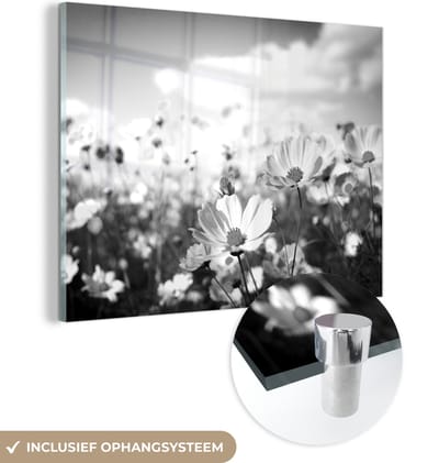 MuchoWow® Glasschilderij 160x120 cm - Schilderij acrylglas - Bloemen - Wei - Paars - Gras - Wit - Wolken - Blauw - Foto op glas - Schilderijen