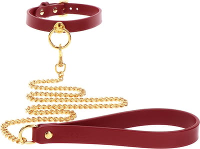 Luxe Bondage Halsband met Ketting - O-Ring Collar and Chain Leash voor BDSM - SM Halsband met Lijn - Gemaakt van PU-Leer en Nikkelvrij Metaal - Seksspeeltje - Sex Toy voor hem en haar - Kinky Speeltje