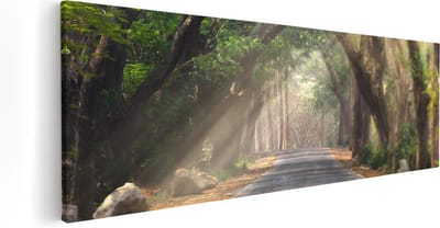 Artaza Canvas Schilderij Bomenlaan - 60x20 cm - Wanddecoratie Natuur - Muurdecoratie Bos - Kamer Accessoires Landschap