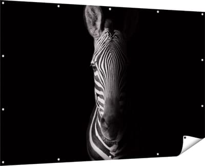 Gards Tuinposter Halve Zebra - Zwart Wit - 180x120 cm - Tuindoek - Tuindecoratie - Wanddecoratie buiten - Tuinschilderij