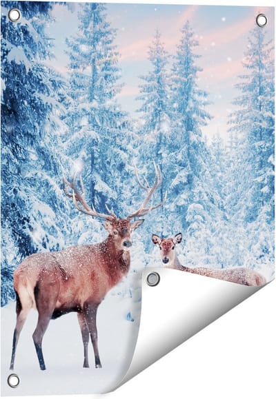 Gards Tuinposter Twee Herten in het Bos met Sneeuw - 40x50 cm - Tuindoek - Tuindecoratie - Wanddecoratie buiten - Tuinschilderij