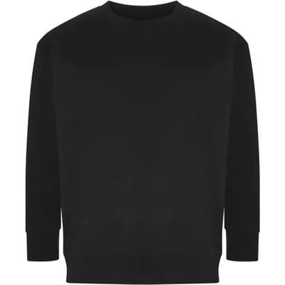 Sweatshirt Ecologie Crater