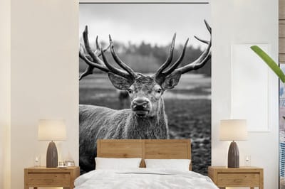 Behang - Fotobehang Dieren - Hert - Gewei - Zwart wit - Natuur - Breedte 170 cm x hoogte 260 cm