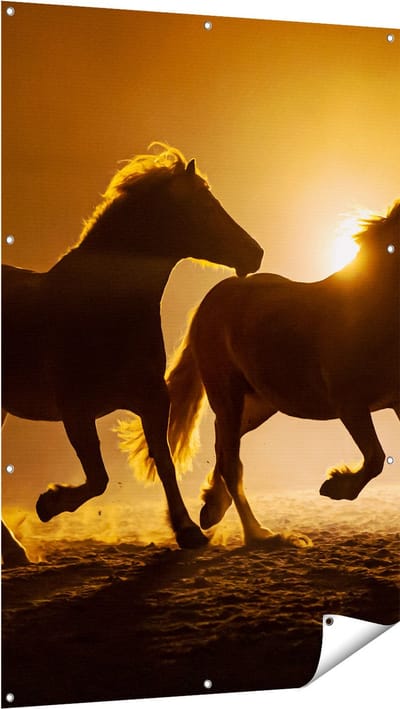 Gards Tuinposter Silhouet van Twee Paarden - 100x150 cm - Tuindoek - Tuindecoratie - Wanddecoratie buiten - Tuinschilderij