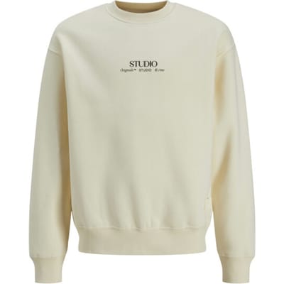 JACK&JONES - JORBROOKLYN GRAPHIC SWEAT CREW NEC JNR - Jongens - Sweaters