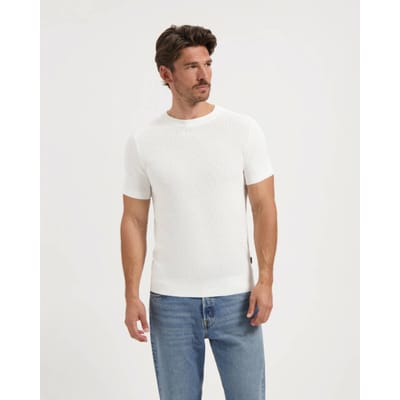 Saint Steve Polo 210157