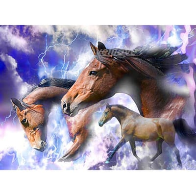 Volledige ronde Diamond schilderij volbloeden 5D Diamond borduurwerk dier paard 20X30CM black