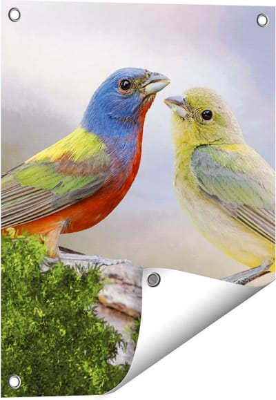 Gards Tuinposter Getekende Gorzen Vogels - Kleur - Abstract - 40x50 cm - Tuindoek - Tuindecoratie - Wanddecoratie buiten - Tuinschilderij