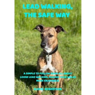 Lead Walking, The Safe Way - Alexis Robertson
