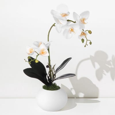 Kunstorchidee met Vaas - Nep Zijde Bloemen - Woonkamer Decoratie - Realistische Textuur - 40 x 24 cm - Wit