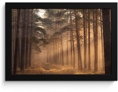 Poster in lijst - Fotolijst 30x20 cm - Posters - Bos - Mist - Zonlicht - Posterlijst zwart - Decoratie - Wanddecoratie woonkamer - Muurdecoratie slaapkamer