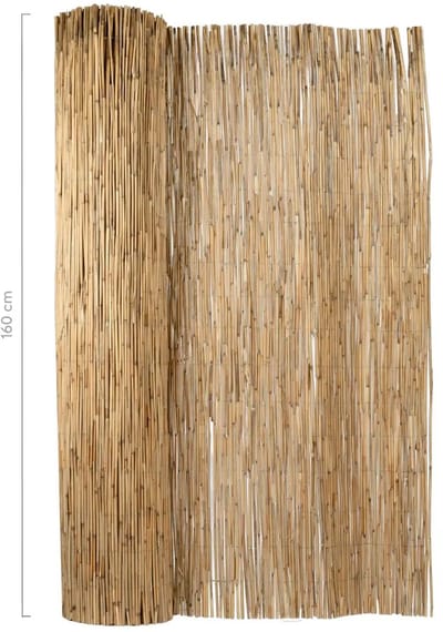 Masters of Bamboo® Rietmat Royal 8-10 mm - 600 x 160 cm - Natuurlijke schutting op rol - Tuinafscheiding van riet