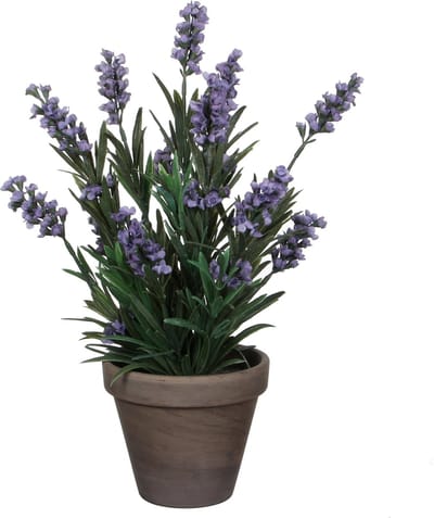 Mica Decorations Kunstplant Lavendula/lavendel - groen/paars - D22 x H33 cm - grijze pot - kamerplant - kunstbloemen