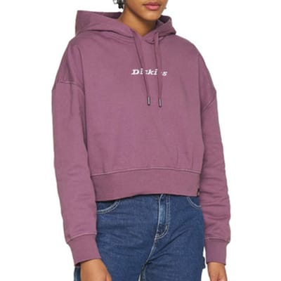 Capuchon sweaters Dickies Loretto