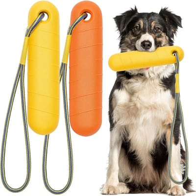 2 Pièces Jouets Flottants pour Chien 8,66 Pouces Eva Jouets Bumper Interactifs Avec Jouets Pour Piscine Extérieure d'Été Jouets pour Animaux de Compagnie