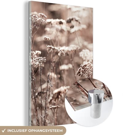 MuchoWow® Glasschilderij 120x180 cm - Schilderij acrylglas - Planten - Bloemen - Winter - Sneeuw - Sepia - Foto op glas - Schilderijen