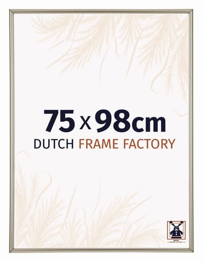 Fotolijst 75x98 cm - Kunststof - Champagne - Angers