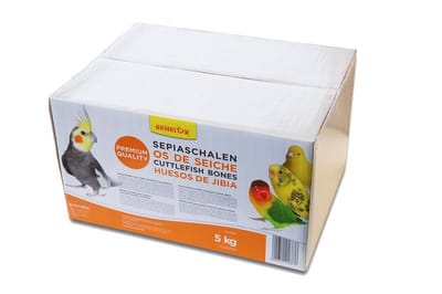 Premium Sepiaschelpen 12-20cm