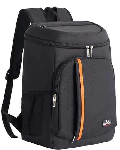 Geïsoleerde picknickrugzak - Waterdichte en verkoelende rugzak met grote inhoud - 23 l - Lekvrije picknicktas - Geschikt voor kamperen, picknicks, barbecues, reizen en buitenactiviteiten - Klassieke stijl - Donkergrijs