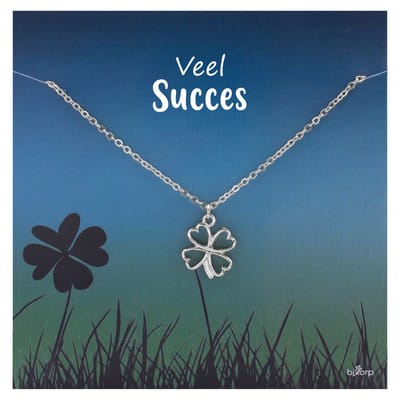Bixorp Luck Klavertje Vier Cadeau Ketting - "Veel Succes" - Zilver Geplatineerd - 38+8cm
