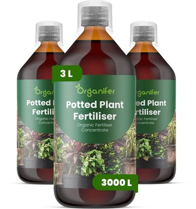 Vloeibare Meststof Voor Potplanten 3X1 L Voor 3000 L - Npk 3-4-3 Ondersteunt Evenwichtige Groei Bij Potplanten - Bevordert Sterke Wortelontwikkeling - Verbetert Bladstevigheid - Kleur En Algehele Plantvitaliteit - Organifer