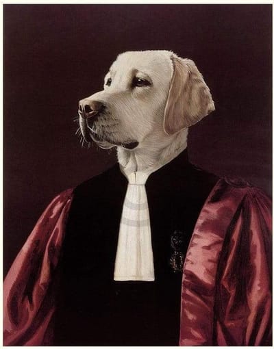 Kunstdruk Thierry Poncelet - The Advocate 66x86cm