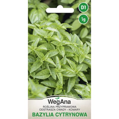 Citroenbasilicum 1g kruidenzaden-VegAna