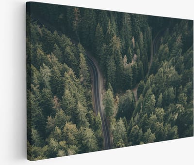 Saammp Muurcirkel Hout - Boeddha Tussen De Bomen - Ø 90 - Wandcirkel - Wanddecoratie Cirkel - Muurdecoratie Woonkamer - Muurcirkel Houten