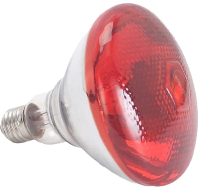 Ynkkvre - Terrariumverlichting - Infrarood verwarminglamp 2500w, infraroodlampen, infraroodverwarminglamp voor huis - geschikt voor terrarium