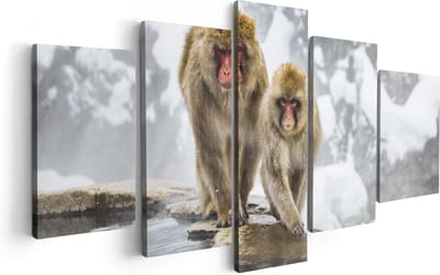 Artaza Canvas Schilderij Vijfluik Twee Aapjes In De Sneeuw Op Rotsen - 100x50 - Foto Op Canvas - Canvas Print