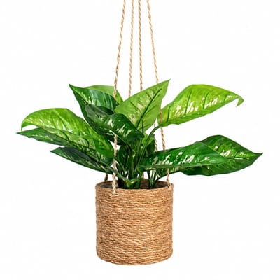 Kunstplant Dieffenbachia in hangmand naturel L100cm