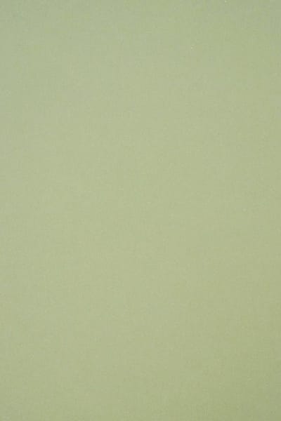 Netuno - groen ecologisch papier - A4 - 21 x 29,7 cm - 10 vellen - 250 gram - Crush Kiwi